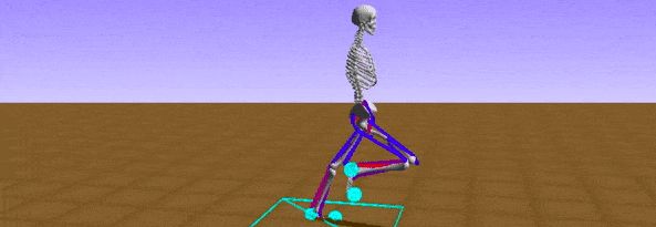 通过进化算法教生物力学模型学会走路