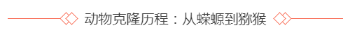 电影中的克隆人,现实中的克隆技术