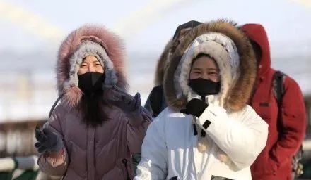 天冷给狗穿衣,天热给狗剃毛?当心你的爱害了它