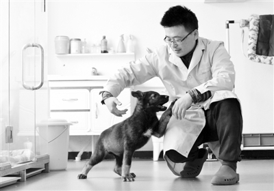 全国首只克隆警犬诞生
