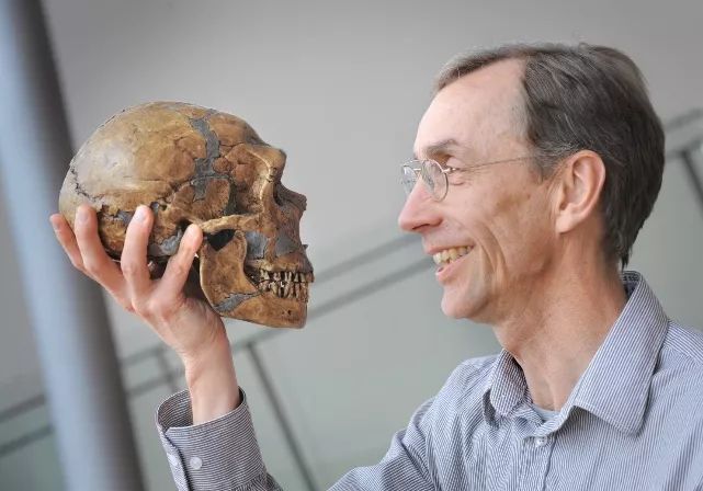 海王夺回王位的科学深意:杂种是怎么一步步主宰地球的?