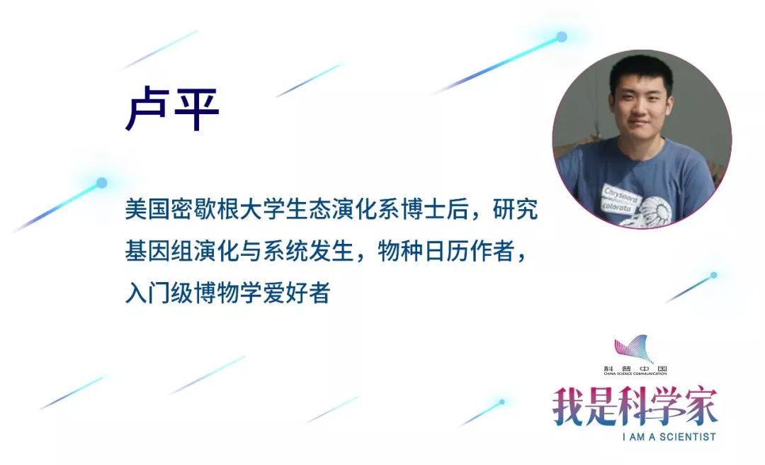 深海鱼眼中的世界,也可以五彩缤纷?