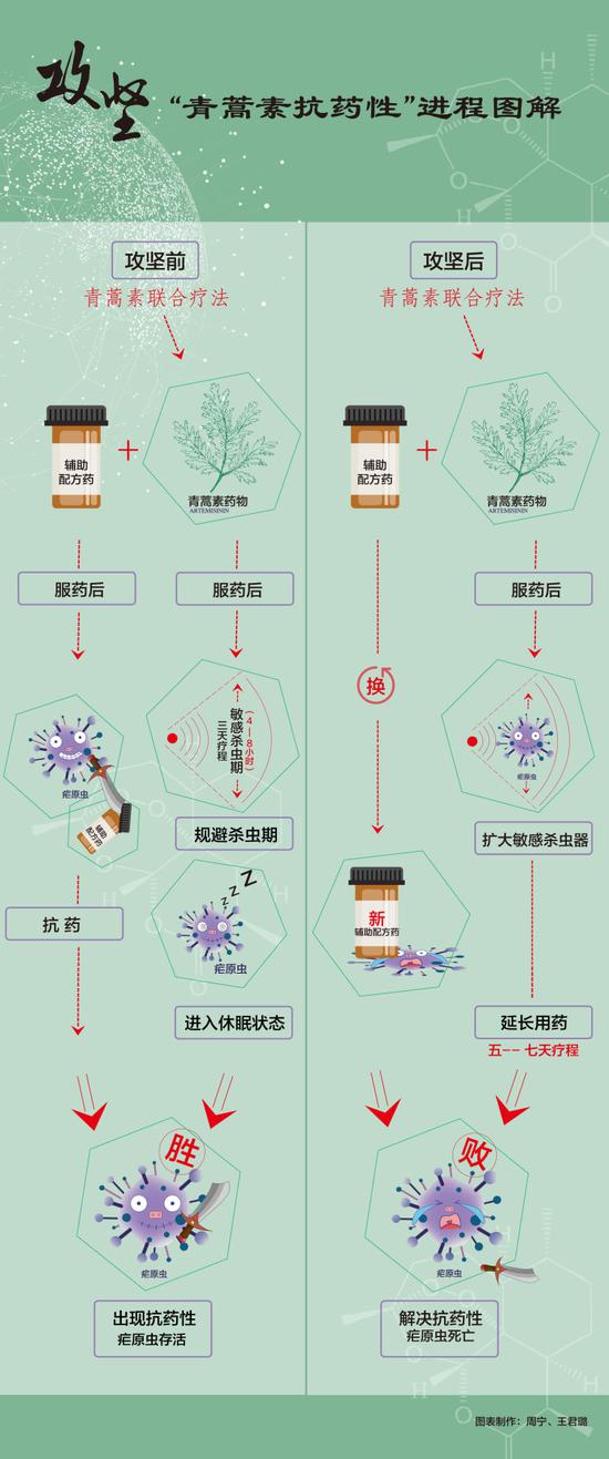 屠呦呦团队放大招:“青蒿素抗药性”等研究获新突破