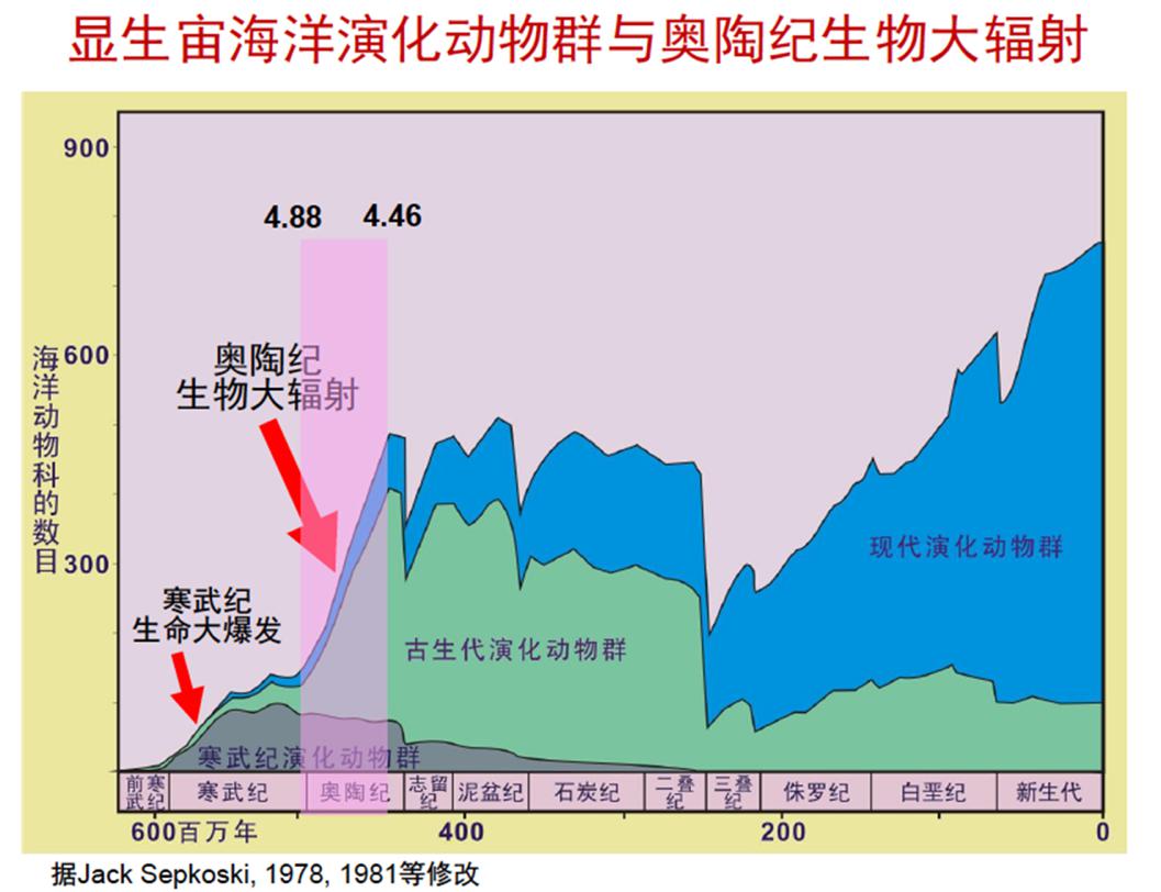 是哪些生物主导了地球史上最大的生物辐射事件?