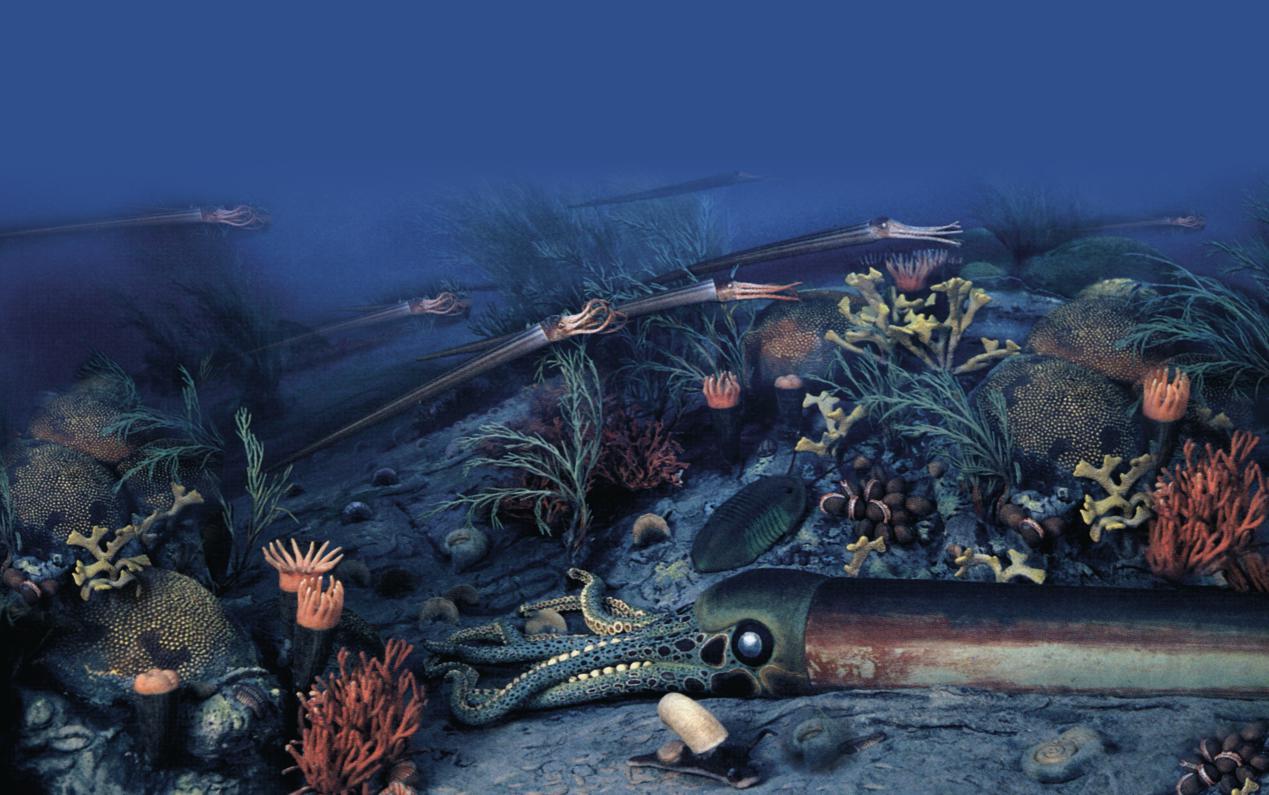 是哪些生物主导了地球史上最大的生物辐射事件?