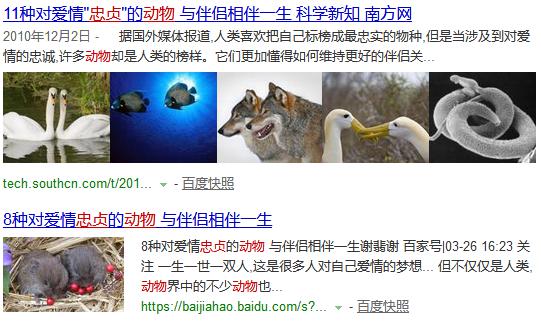 七夕没对象?来看看动物的“塑料”爱情