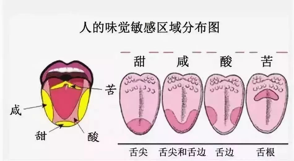 原来辣不是一种味道而是一种