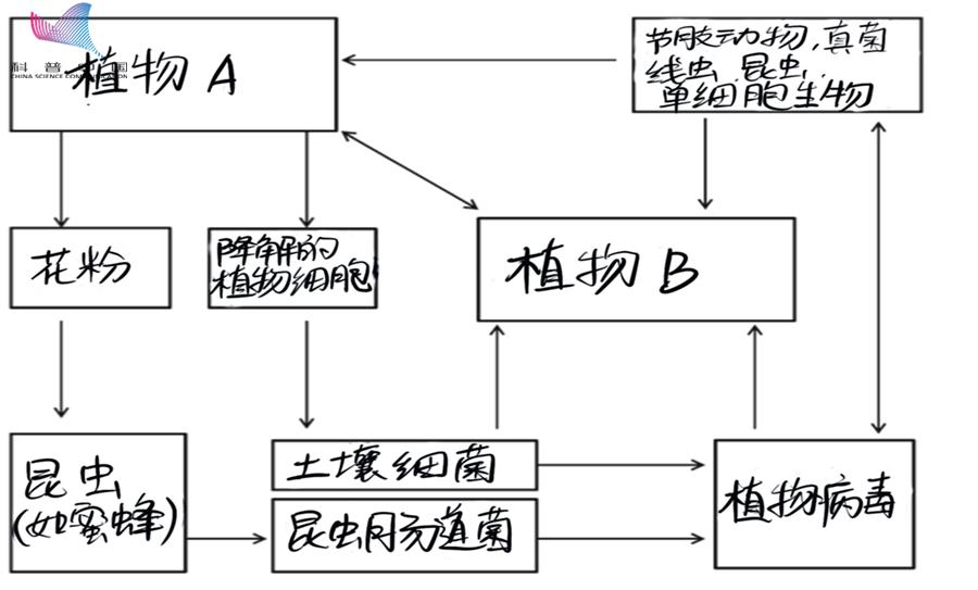 偷你点营养怎么了,你的遗传物质我也可以拿