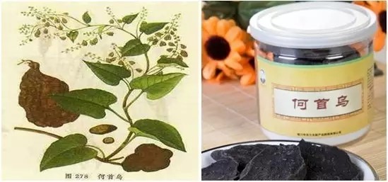 是药三分毒 中药亦伤肝
