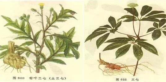 是药三分毒 中药亦伤肝