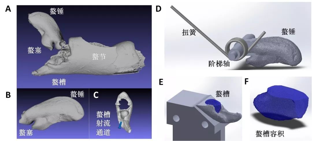 这种小虾能“袭击”军舰,我们成功缴获了它的武器