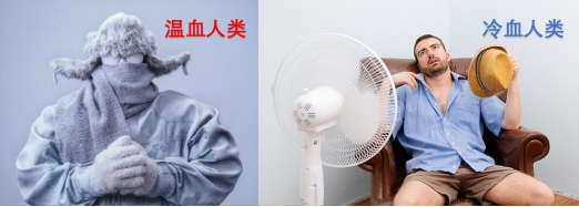 这个杀手不太冷 恐龙是温血动物的四大证据