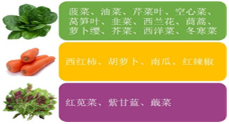 合理膳食,多吃蔬果,健康你我