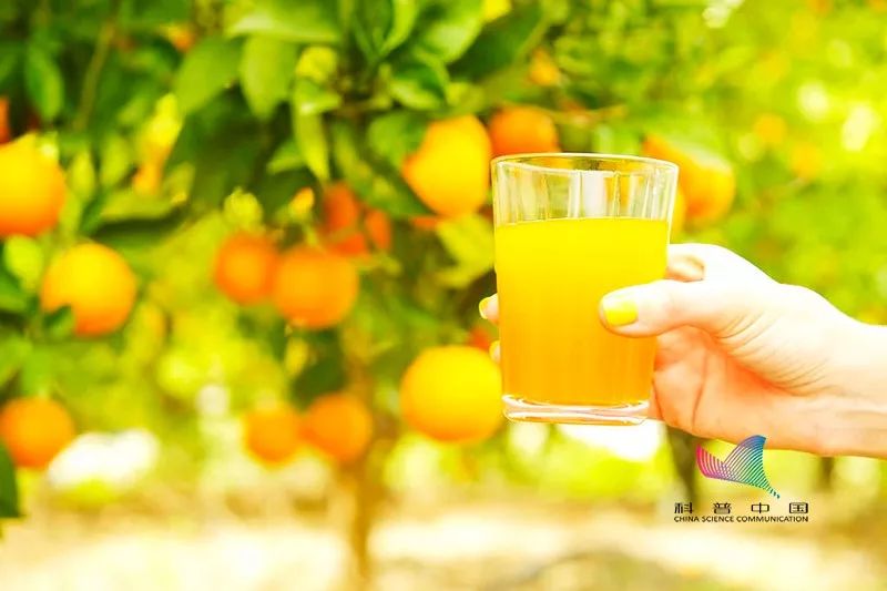鲜橘皮泡水喝能止咳?你喝下去的可能是农药