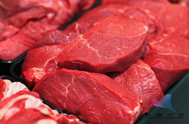 “人造肉”将被端上餐桌,你吃还是不吃?