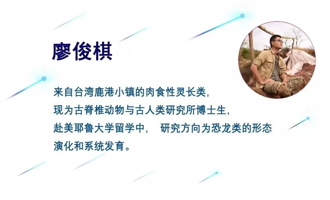 6600万年前的海边“走地鸡”,揭开现代鸟类进化谜题
