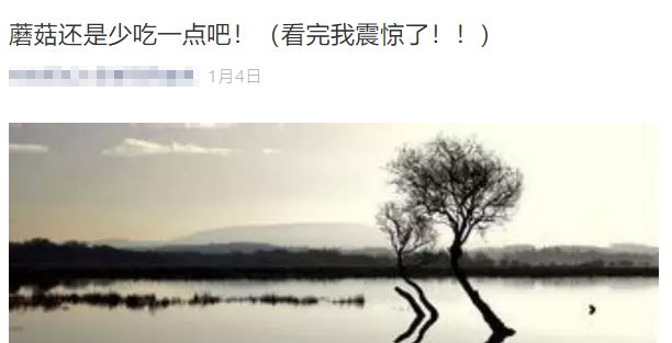 常吃蘑菇会重金属中毒?事实真的如此吗?