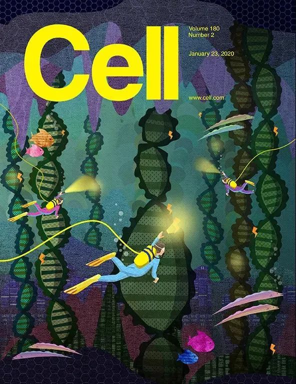 怎样保证遗传稳定性?精子放了个大招