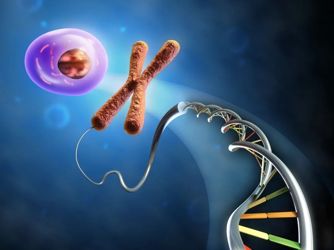 怎样保证遗传稳定性?精子放了个大招