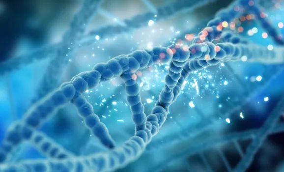 科学家发现疑似恐龙DNA!我们可以复制一个《侏罗纪》吗?
