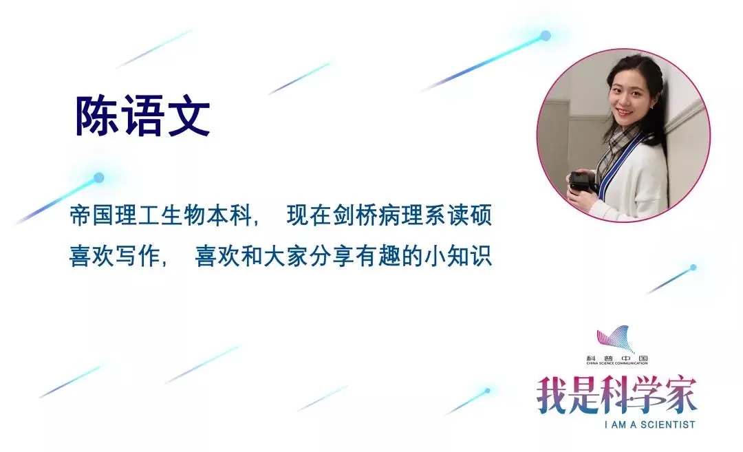 乙肝疫苗打了几十年,为什么丙肝疫苗还没有?