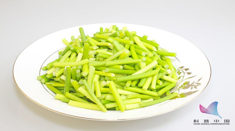 辟谣:这四种蔬菜可以放心吃,不是致癌物!