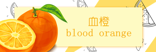 褚橙,和那些橙子小伙伴们