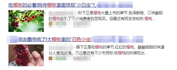 樱桃中的小白虫会危害身体?误食樱桃核会致命?今天全给你说清楚
