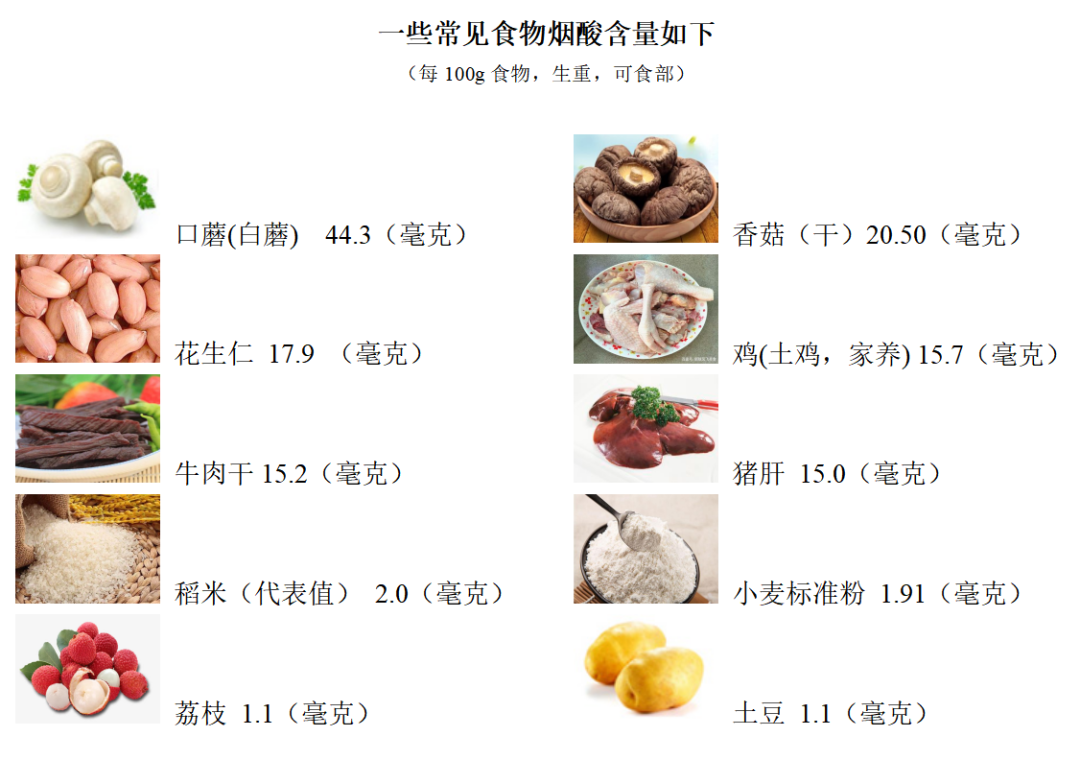 烟酸是什么?