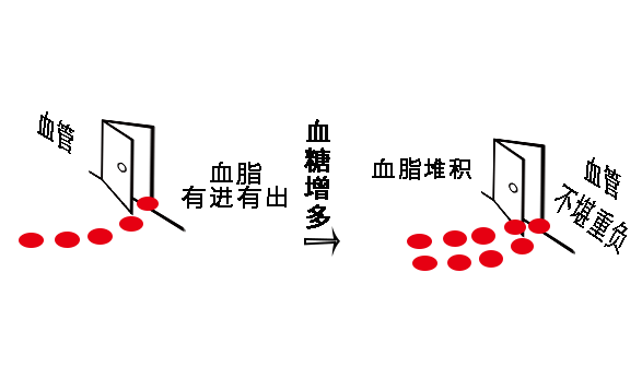 你以为蜂蜜是“神仙水”吗?降血脂?增强免疫力?止咳?通便?
