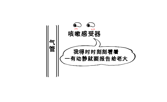 你以为蜂蜜是“神仙水”吗?降血脂?增强免疫力?止咳?通便?