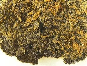 我们每天吃的米饭,最早是从哪里来的?
