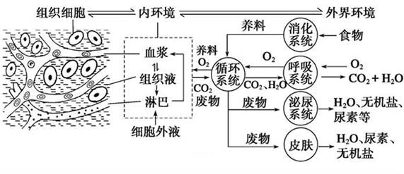 饮用水不安全!你以为用了净水器就能高枕无忧吗?