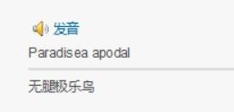 奇鸟行状录