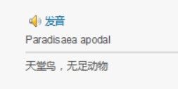 奇鸟行状录