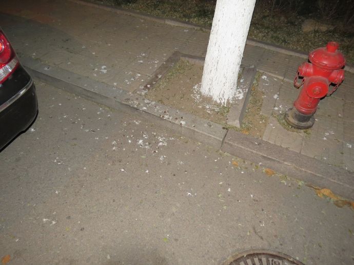 奇鸟行状录