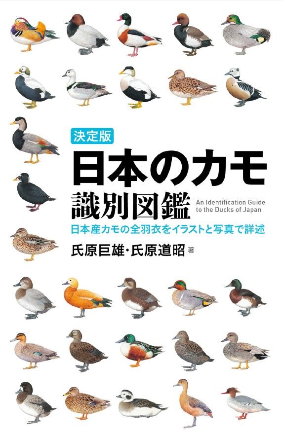 奇鸟行状录