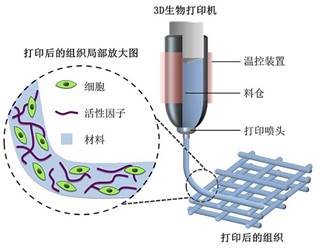 在太空3D打印一个小鼠甲状腺!3D打印咋这么厉害?