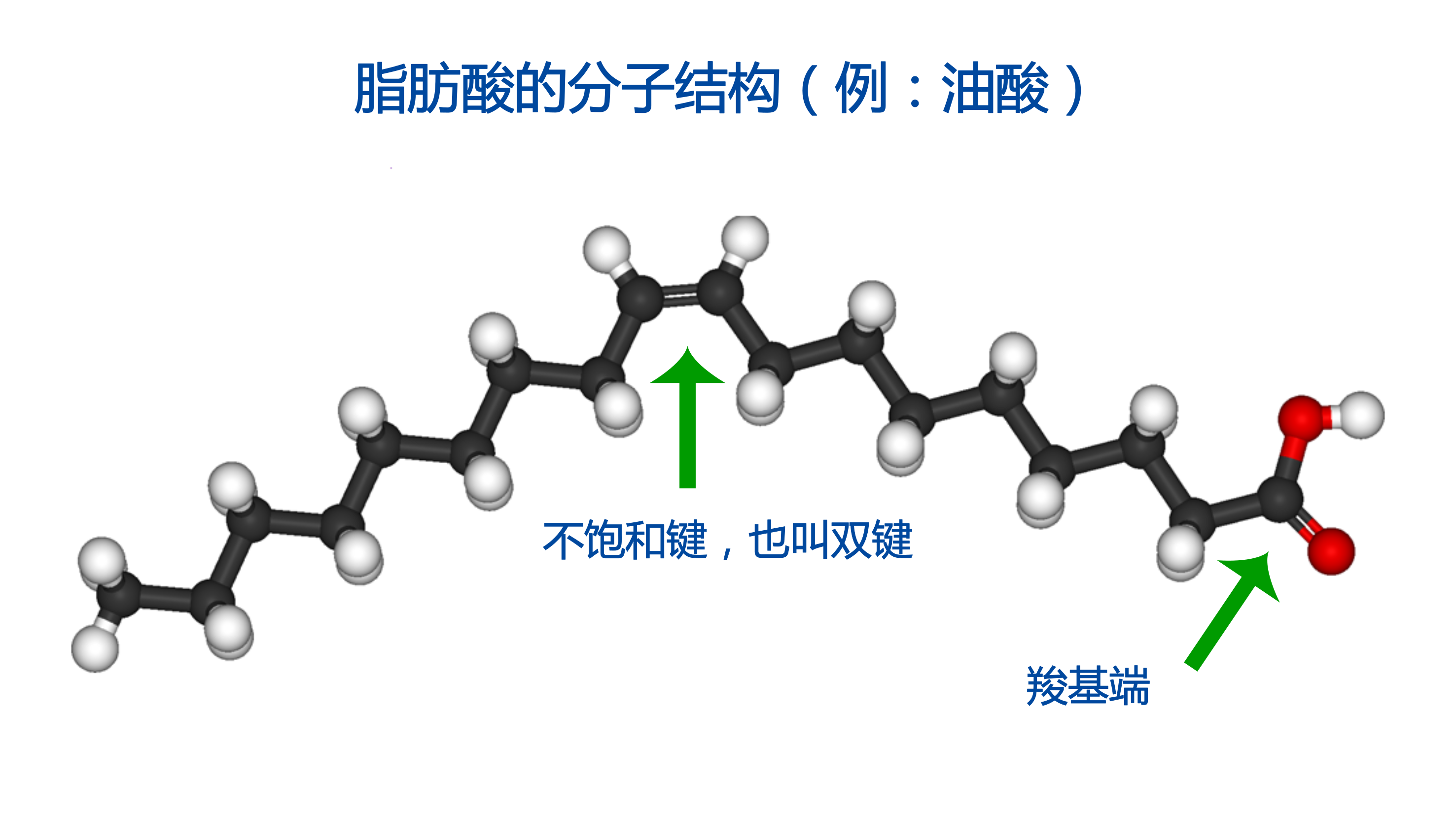 脂肪酸大战