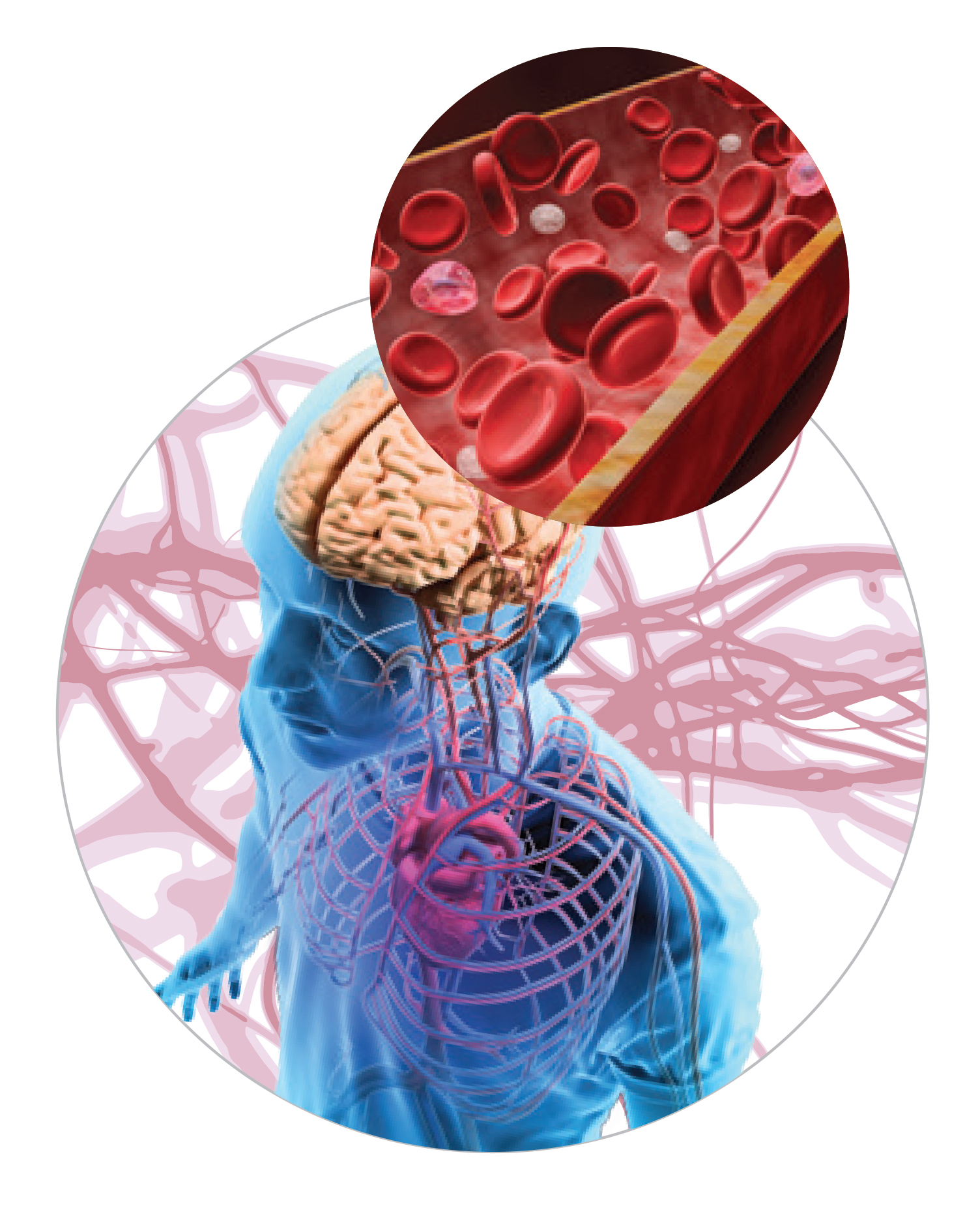 脂肪酸大战