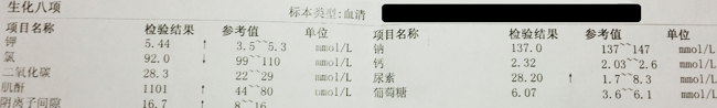 3-responsive 血生化检验单,如何快速看懂?