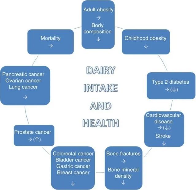 喝牛奶导致乳腺癌?你必须了解的科学真相