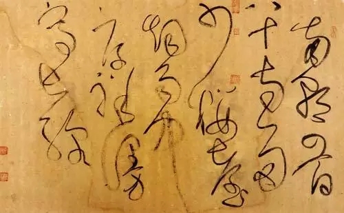 熊猫其实叫“猫熊”?是谁把名字搞错了呀!