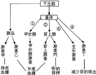 我饿了 不,你不饿!嘴馋与饥饿,你能分得清吗?