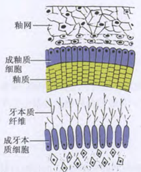 image003-responsive 冷热酸甜,怎么才能想吃就吃?