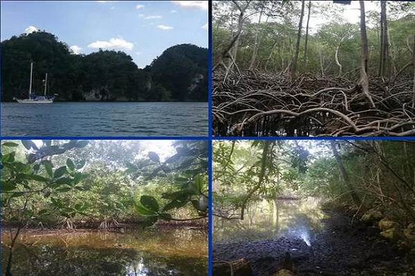 What?这块琥珀里有40余个生物,竟集齐了“海陆空”-responsive 这块琥珀里有40余个生物,竟集齐了“海陆空”