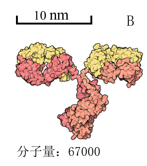 蚊子挑血型吗?