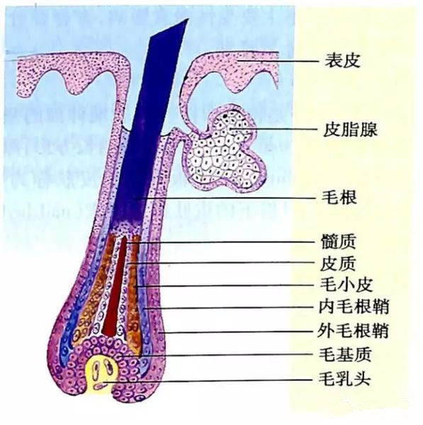 正月里剪头,能咋地?
