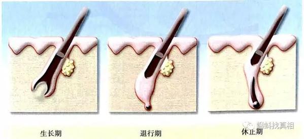 正月里剪头,能咋地?