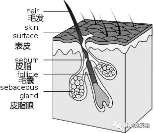 正月里剪头,能咋地?